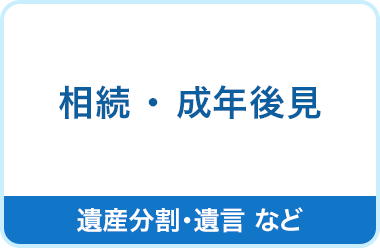 相続　成年後見
