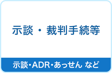 示談　裁判手続等