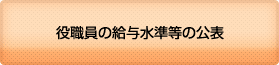 役職員の給与水準等の公表