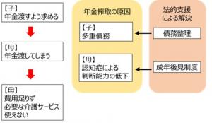 年金搾取に関する図