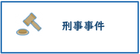 刑事事件