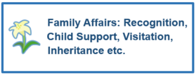 Family Affairs: Recognition, Child Support, Visitation, Inheritance etc.