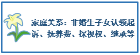 家庭关系：非婚生子女认领起诉、抚养费、探视权、继承等
