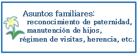 Asuntos familiares: reconocimiento de paternidad, manutención de hijos, régimen de visitas, herencia, etc.