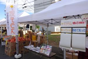 矯正展35回