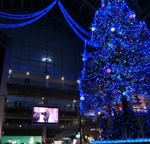 クリスマスツリー