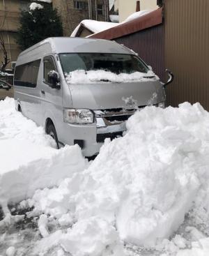 やっと顔が出た