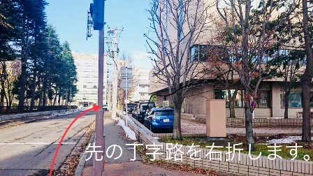 裁判所手前で青い森公園のわき道を海側に曲がる